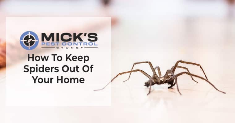 Keep Spiders Out Of Your Home
