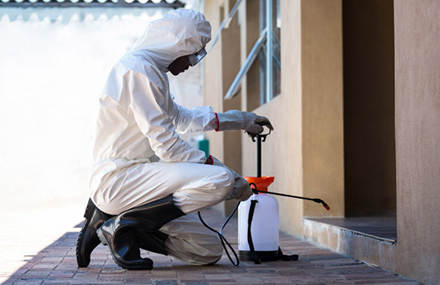 Advantages Of Choosing Micks Pest Control