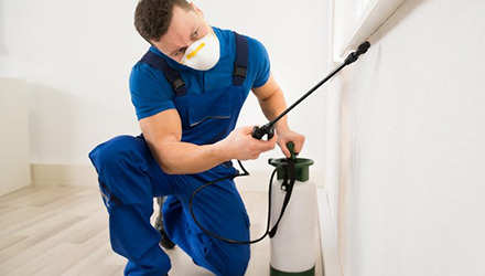 Benefits From Micks Pest Control Sydney