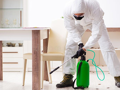 Choose Your Monthly Pest Treatment