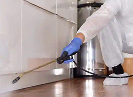 Commercial pest control services